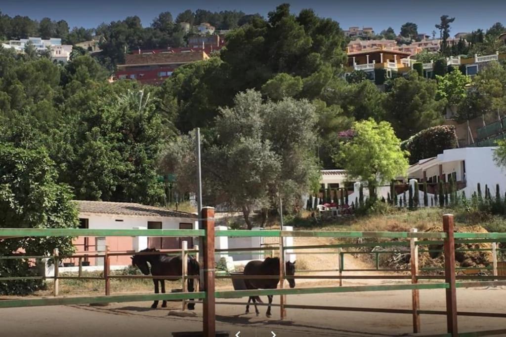 Апартаменты Denia - Golf La Sella "Refugio Marino" Педрегер Экстерьер фото